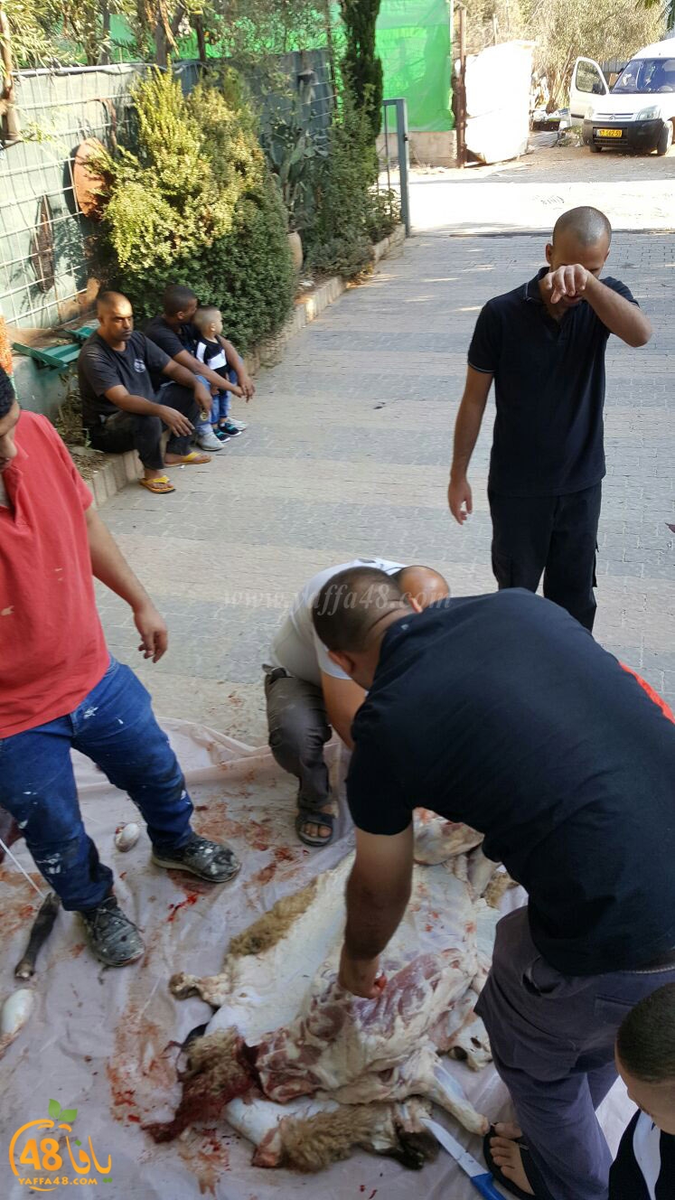 dab7 ada7y wu3ed (4).jpg